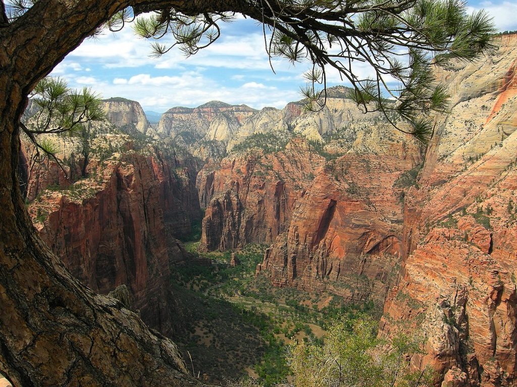 The view from Angels Landing 