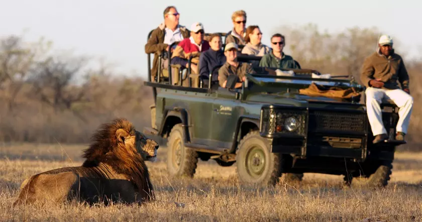 Travelers Watching Lion from Jeep In Safari Park